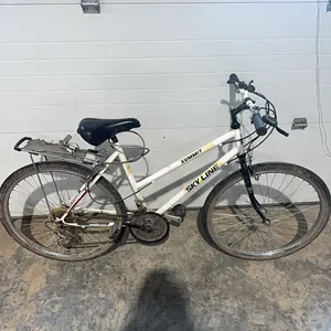 15 Speed bike