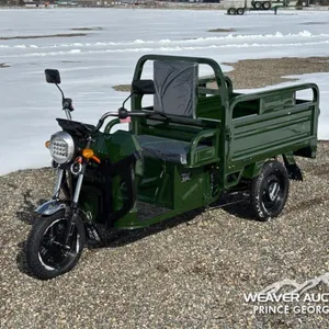 2026 SDLANCH IRET13 ELECTRIC CARGO TRICYCLE