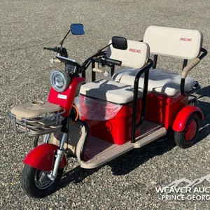 2026 SDLANCH IRGC40 MINI GOLF CART