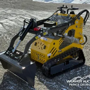 SDLANCH SDLL60 MINI COMPACT TRACK LOADER