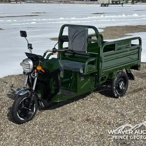 2026 SDLANCH IRET13 ELECTRIC CARGO TRICYCLE
