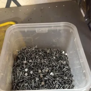 Galvanized roofing nails