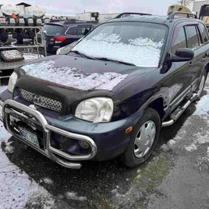 2004 Hyundai Santa Fe SN: KM8SB13D64U585345
