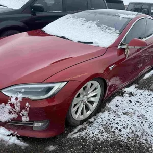 2019 Tesla Model S SN: 5YJSA1E23KF313151