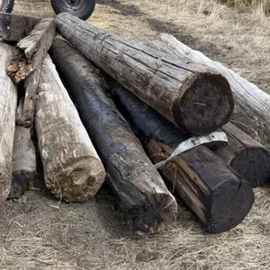 Pile of Poles & Railway Ties