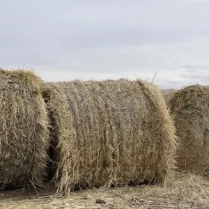 66 Oat Bales *EACH* X 66