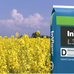 One Bag InVigor L355PC Canola Seed Retail Value Of $1100 from BASF