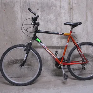 RALEIGH MATTERHORN