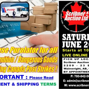 Payment & Shipping