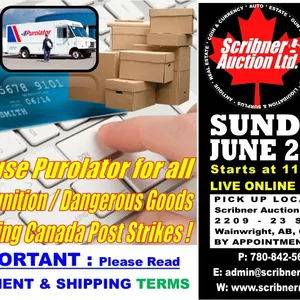 Payment & Shipping