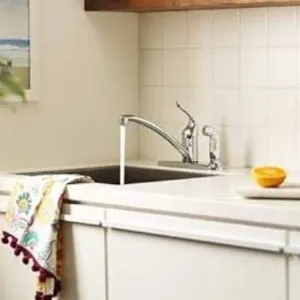 Moen Adler Single-Handle Low ARC Kitchen Faucet in Chrome with in Deck Side Sprayer