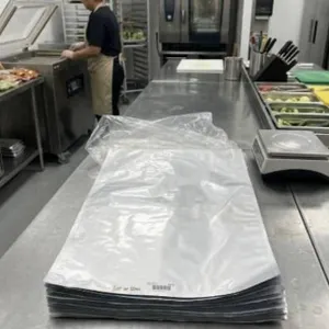 Lot Of 10pcs Vacuum Bags,Â  20 in. x 30 in.