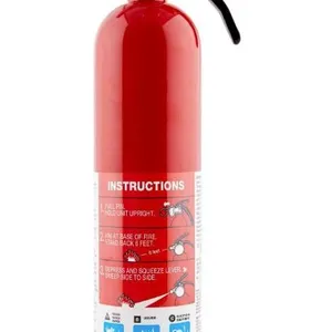 First Alert FE10GR GARAGE10 Fire Extinguisher, Red