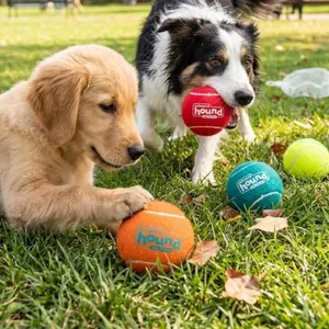 Outward Hound Squeaker Ballz Dog Toy Set - Pack of 4