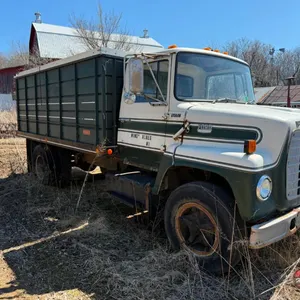 1981 Ford 800 Grain Truck