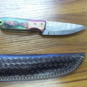 New Hunting Knife w/ Color Handle & Sheath