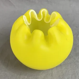 Yellow Case Glass Bowl