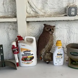Weed Spray, Scotts Spreader & Owl Decoy