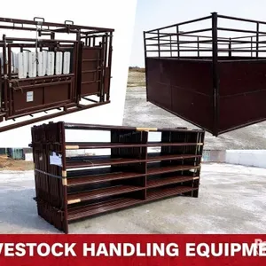 TYPE LIVESTOCK IN SEARCH TO FIND A Large Qty