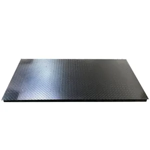 Unused 10 Ton Platform Scale with Weighing Indicator