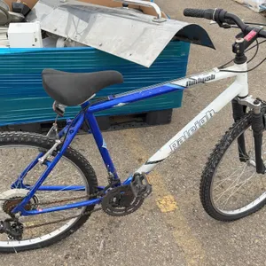 Raleigh Ambush Aluminum Mountain Bike