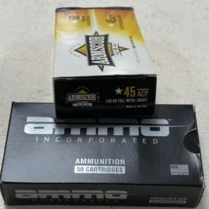 100 rnds .45acp Ammo