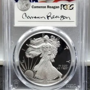2019-W Slab Proof Silver Eagle PCGS PR69 DCAM