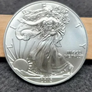 2013 Silver Eagle