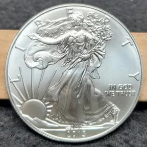 2013 Silver Eagle