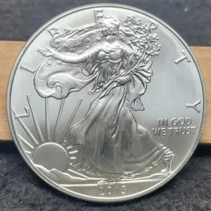 2013 Silver Eagle