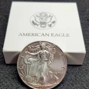 2017 Silver Eagle w/ Mint Case