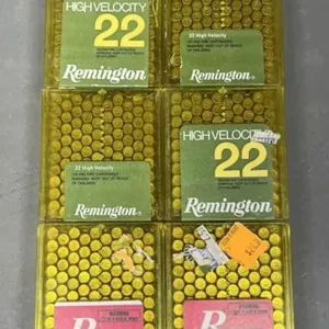 600 rnds Remington .22LR Ammo