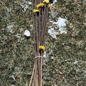 10 Electric fence stakes 4ft