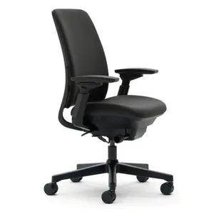 Steelcase Amia Office Chair