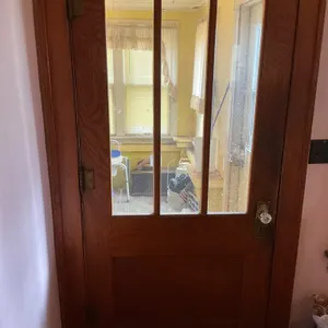 Wood Door with Glass Panels