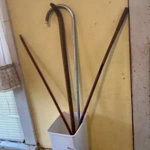 Walking Sticks