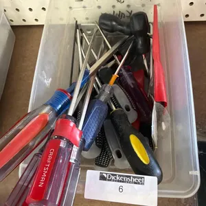 SCREW DRIVERS IN CLEAR TUB