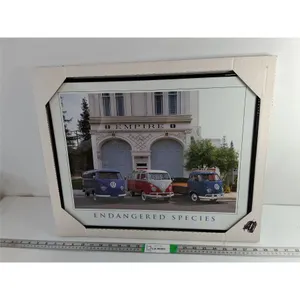 Volkswagen Endangered Species Buses Framed Photo 20" x 16"