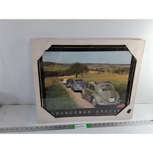 Volkswagen Endangered Species Framed Beetles Photo 20" x 16"