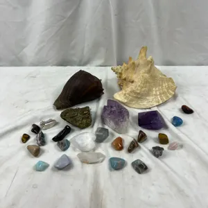 Shells & Geodes