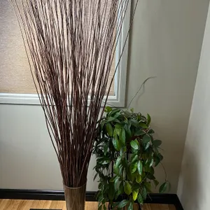 Dried Willow Branch & Planter Stand