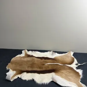 Animal Pelt