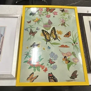 3 Pack Assorted Framed Wall Art