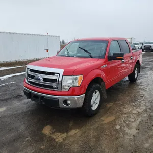 2014  Ford  F-150  Crew Cab 4x4 XLT
