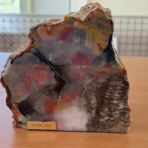 Petrified Rock Geode
