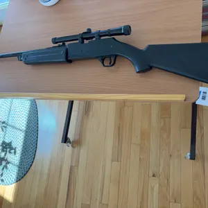 Daisy Powerline 856 BB Gun