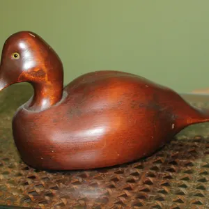 Broad Bill Wooden Duck