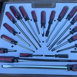 UNUSED 20PC PROFFESSIONAL SERIES TYPE SCREWDRIVER SET
