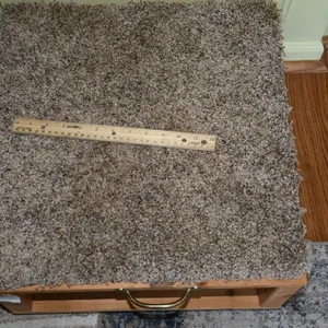 Homemade Pet Step