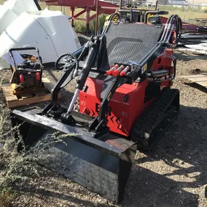 2024 EG380T Skid Steer Loader
 UNRESERVED